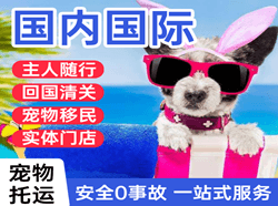 兴凯湖机场快递国际宠物托运 【国